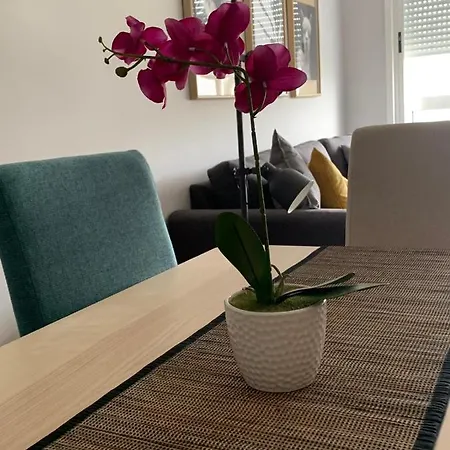 Apartment Plaza La Ria